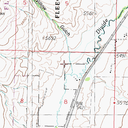 Topographic Map of Willow Gulch, MT