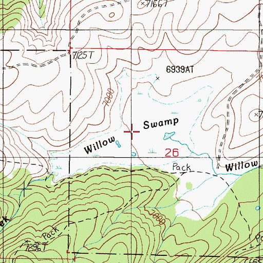 Topographic Map of Willow Swamp, MT