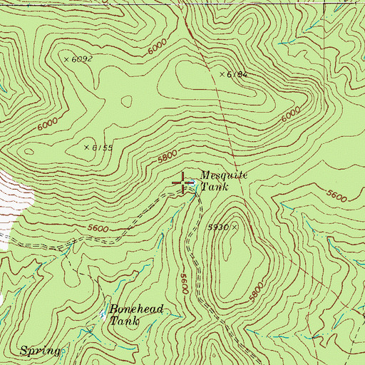 Topographic Map of Mesquite Tank, AZ