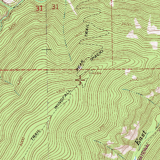 Topographic Map of Windfall Peak Trail, MT
