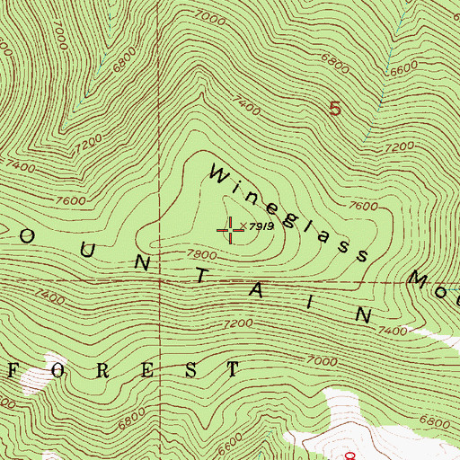 Topographic Map of Wineglass Mountain, MT