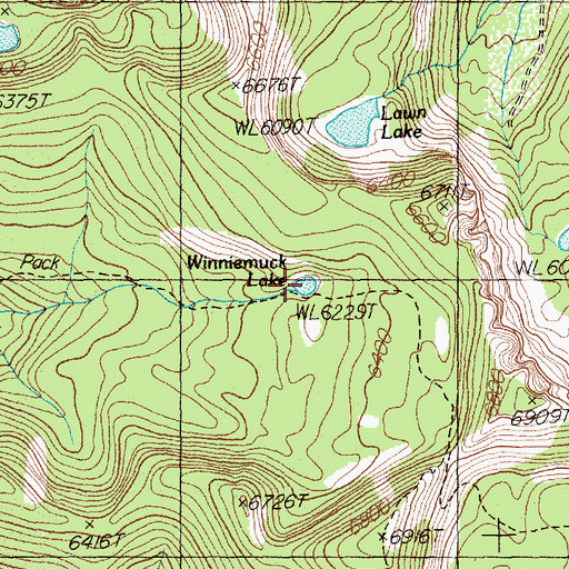 Topographic Map of Winniemuck Lake, MT