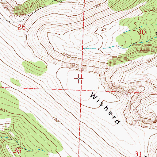 Topographic Map of Wisherd Ridge, MT