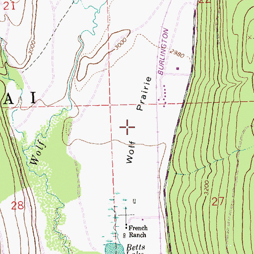 Topographic Map of Wolf Prairie, MT