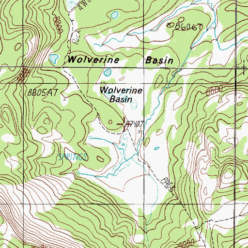 Topographic Map of Wolverine Basin, MT