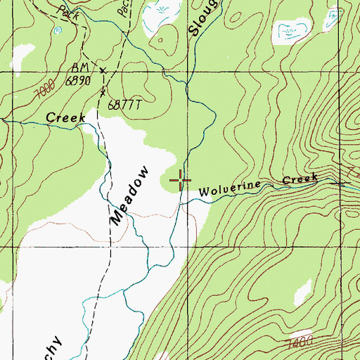 Topographic Map of Wolverine Creek, MT