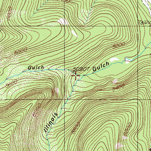 Topographic Map of Wolverine Gulch, MT