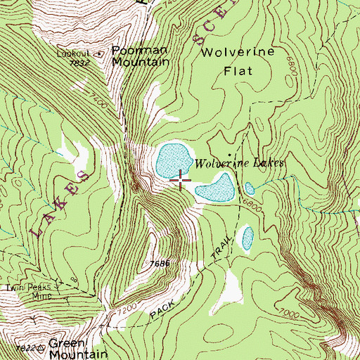 Topographic Map of Wolverine Lakes, MT