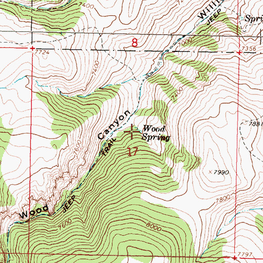Topographic Map of Wood Spring, MT