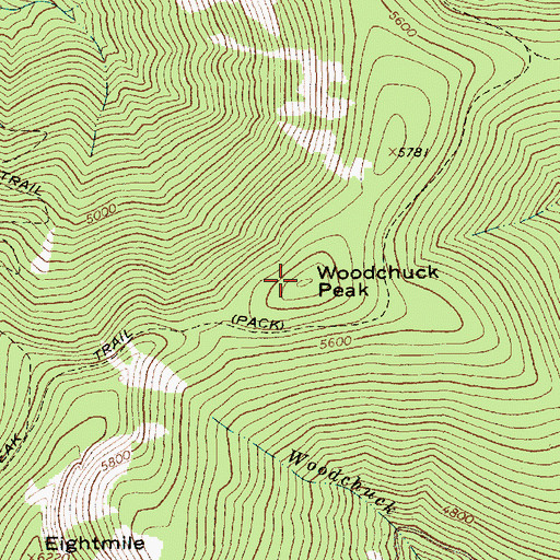 Topographic Map of Woodchuck Peak, MT