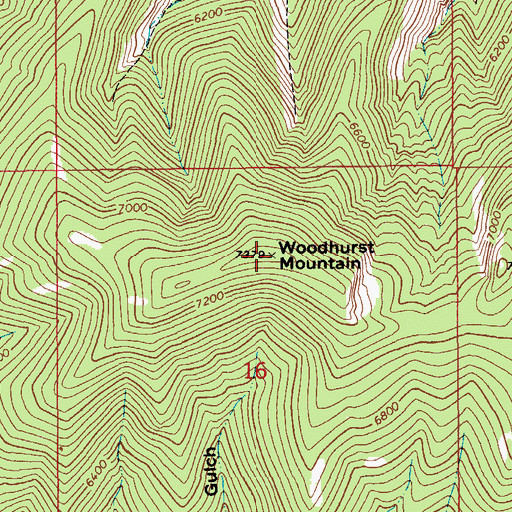 Topographic Map of Woodhurst Mountain, MT