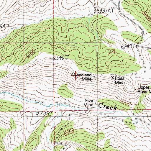 Topographic Map of Woodland Mine, MT