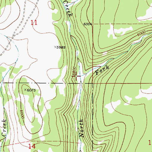 Topographic Map of Woods Creek, MT