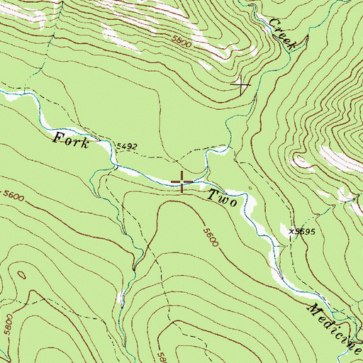 Topographic Map of Woods Creek, MT