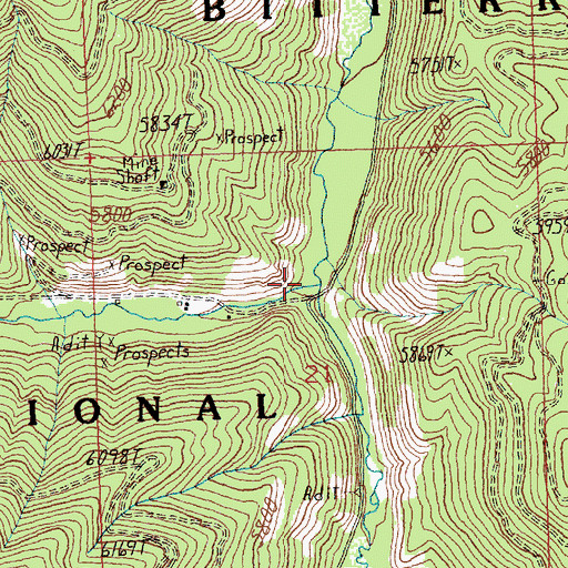 Topographic Map of Woods Creek, MT