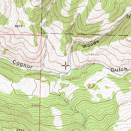 Topographic Map of Woods Gulch, MT