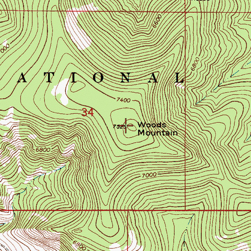 Topographic Map of Woods Mountain, MT