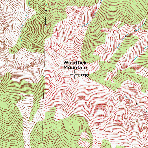 Topographic Map of Woodtick Mountain, MT