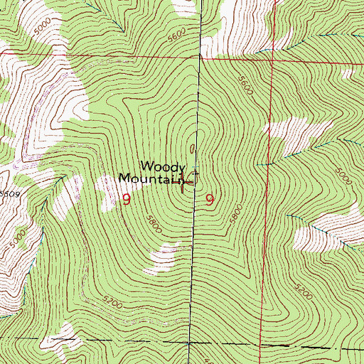 Topographic Map of Woody Mountain, MT
