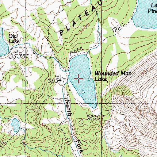 Topographic Map of Wounded Man Lake, MT