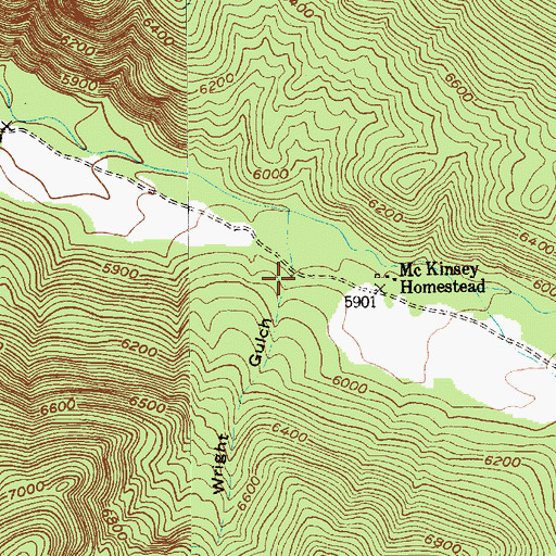 Topographic Map of Wright Gulch, MT