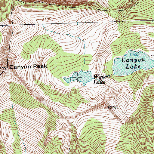 Topographic Map of Wyant Lake, MT