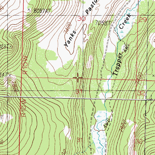 Topographic Map of Yanks Pasture, MT