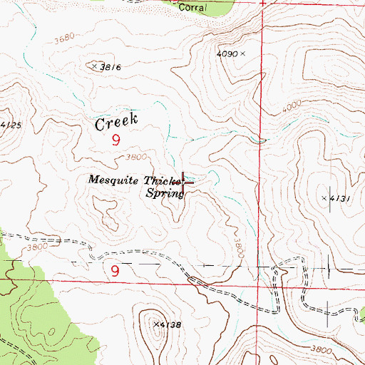Topographic Map of Mesquite Thicket Spring, AZ