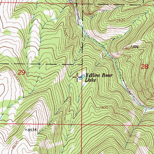 Topographic Map of Yellow Bear Lake, MT