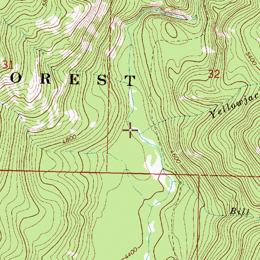 Topographic Map of Yellowjacket Creek, MT