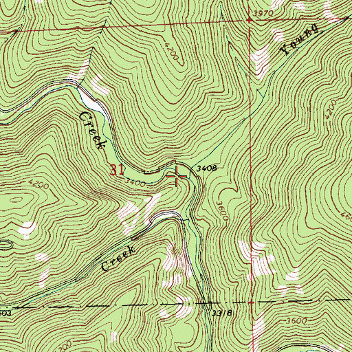 Topographic Map of Young Creek, MT