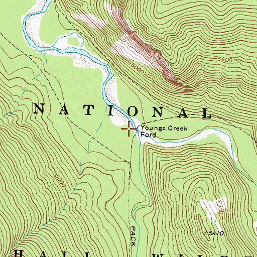 Topographic Map of Youngs Creek Ford, MT