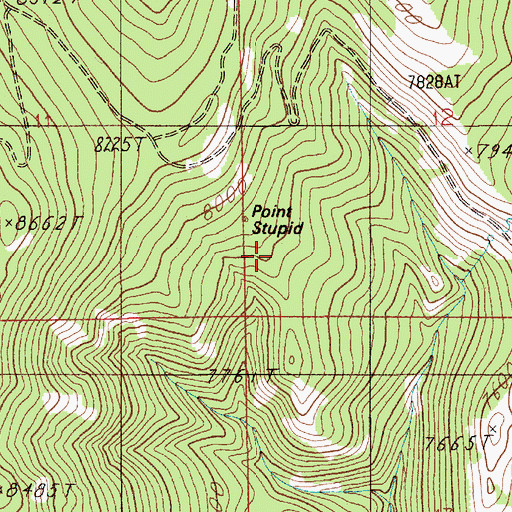 Topographic Map of Point Stupid, MT