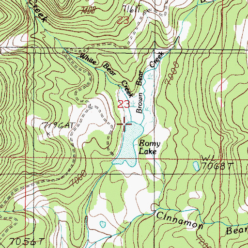 Topographic Map of Brown Bear Creek, MT