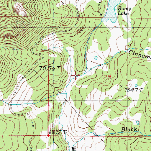 Topographic Map of Cinnamon Bear Creek, MT