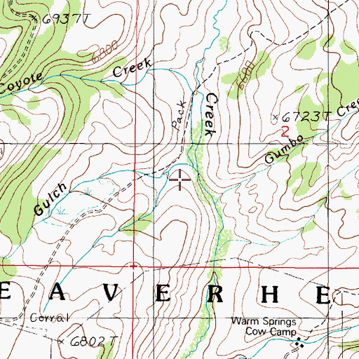 Topographic Map of Company Gulch, MT