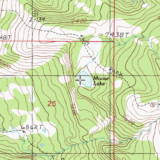 Topographic Map of Moose Lake, MT