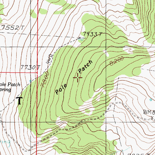 Topographic Map of Pole Patch, MT