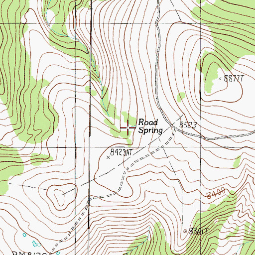 Topographic Map of Road Spring, MT