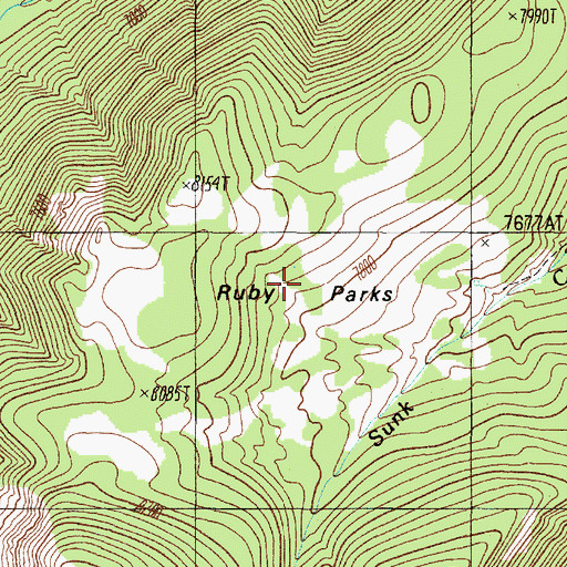 Topographic Map of Ruby Parks, MT