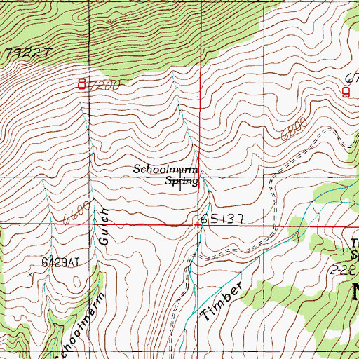 Topographic Map of Schoolmarm Spring, MT