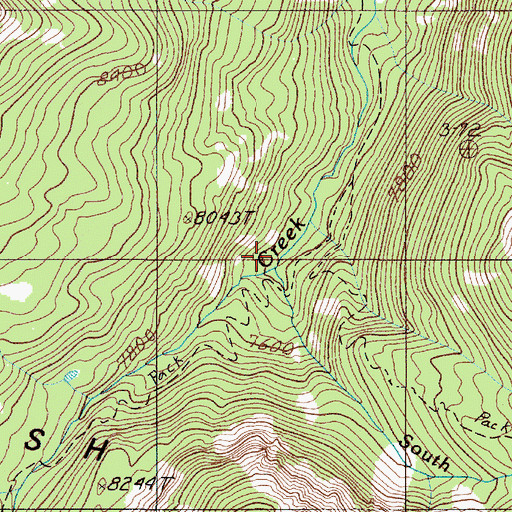 Topographic Map of South Fork Hell Roaring Creek, MT