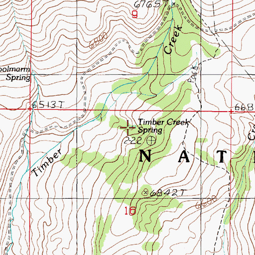 Topographic Map of Timber Creek Spring, MT