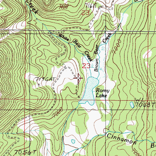 Topographic Map of White Bear Creek, MT