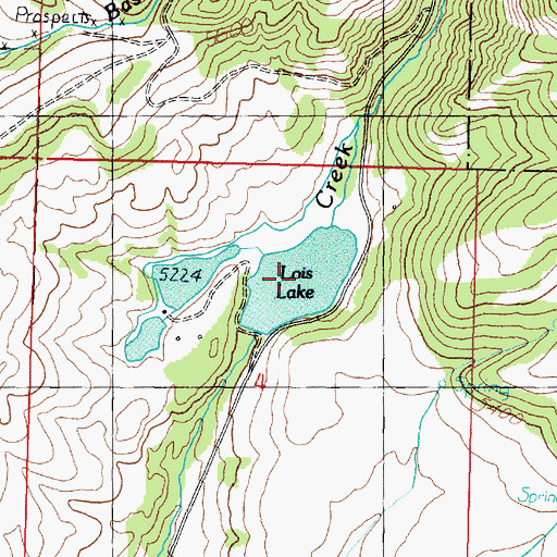 Topographic Map of Lois Lake, MT