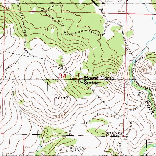 Topographic Map of Moose Camp Spring, MT