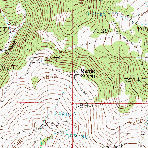 Topographic Map of Merritt Spring, MT