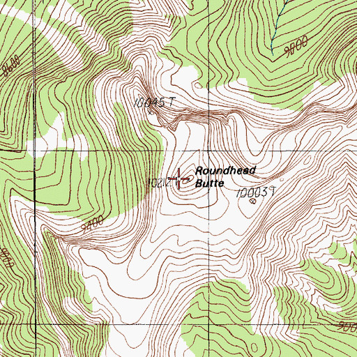 Topographic Map of Roundhead Butte, MT