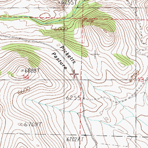 Topographic Map of Picketts Pasture, MT