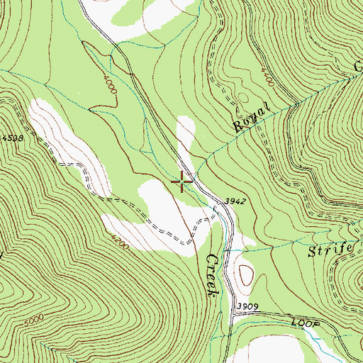 Topographic Map of Royal Creek, MT
